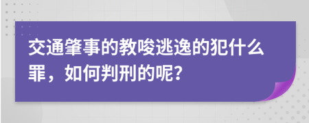 交通肇事的教唆逃逸的犯什么罪，如何判刑的呢？