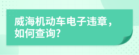 威海机动车电子违章，如何查询?