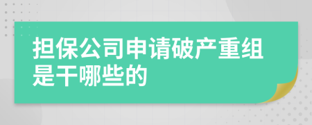 担保公司申请破产重组是干哪些的