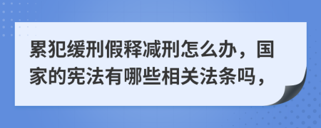 累犯缓刑假释减刑怎么办，国家的宪法有哪些相关法条吗，