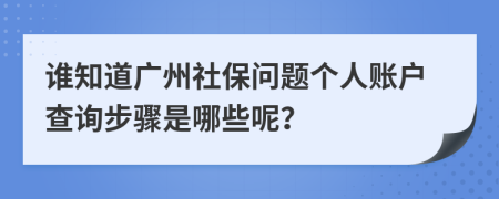 谁知道广州社保问题个人账户查询步骤是哪些呢？