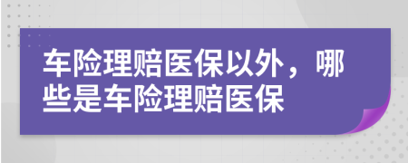 车险理赔医保以外，哪些是车险理赔医保