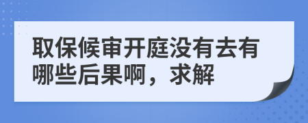 取保候审开庭没有去有哪些后果啊，求解