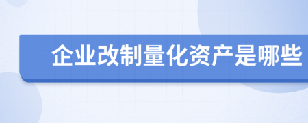 企业改制量化资产是哪些