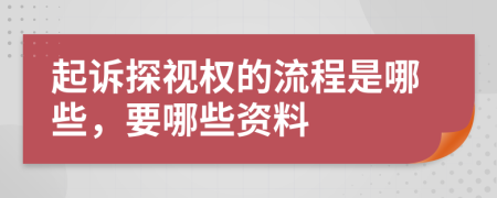 起诉探视权的流程是哪些，要哪些资料