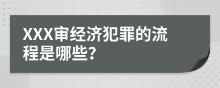 XXX审经济犯罪的流程是哪些？