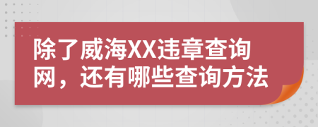 除了威海XX违章查询网，还有哪些查询方法