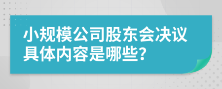 小规模公司股东会决议具体内容是哪些？