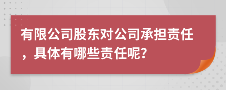 有限公司股东对公司承担责任，具体有哪些责任呢？