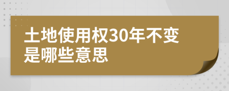 土地使用权30年不变是哪些意思