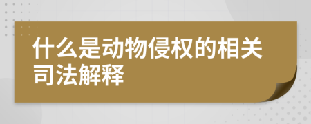 什么是动物侵权的相关司法解释