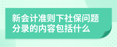 新会计准则下社保问题分录的内容包括什么