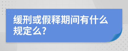 缓刑或假释期间有什么规定么?