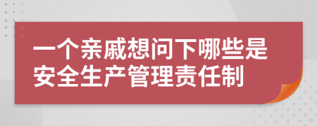 一个亲戚想问下哪些是安全生产管理责任制