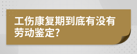 工伤康复期到底有没有劳动鉴定?