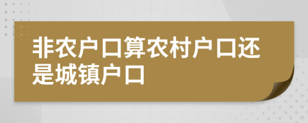 非农户口算农村户口还是城镇户口