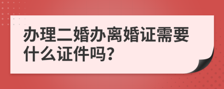 办理二婚办离婚证需要什么证件吗？