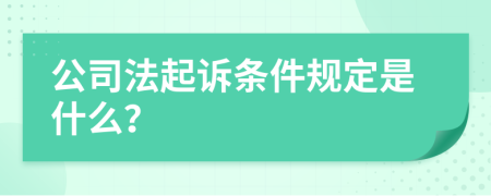 公司法起诉条件规定是什么？