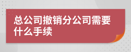 总公司撤销分公司需要什么手续