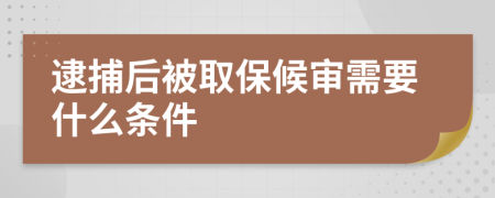 逮捕后被取保候审需要什么条件