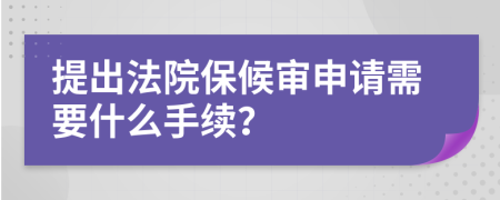 提出法院保候审申请需要什么手续？