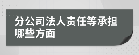 分公司法人责任等承担哪些方面