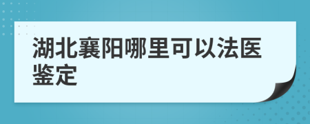 湖北襄阳哪里可以法医鉴定