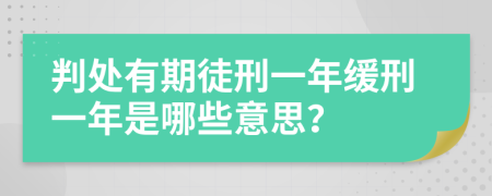 判处有期徒刑一年缓刑一年是哪些意思？