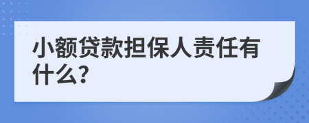 小额贷款担保人责任有什么？