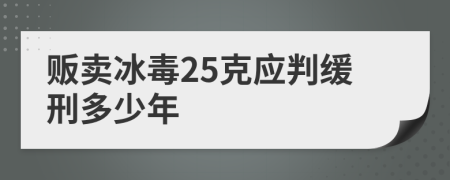 贩卖冰毒25克应判缓刑多少年