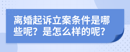 离婚起诉立案条件是哪些呢？是怎么样的呢？