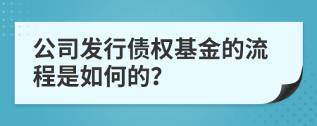 公司发行债权基金的流程是如何的？