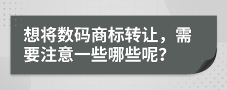 想将数码商标转让，需要注意一些哪些呢？