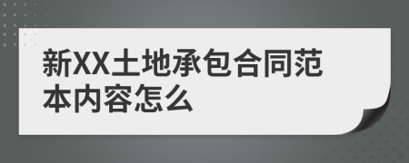 新XX土地承包合同范本内容怎么