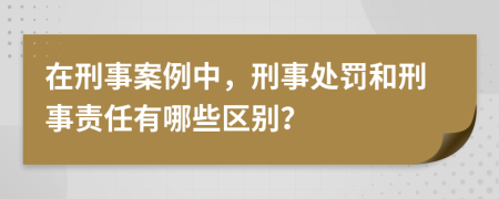 在刑事案例中，刑事处罚和刑事责任有哪些区别？