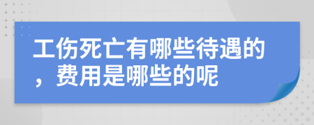 工伤死亡有哪些待遇的，费用是哪些的呢