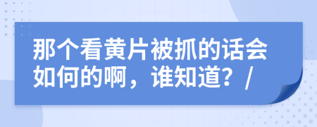 那个看黄片被抓的话会如何的啊，谁知道？/