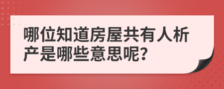 哪位知道房屋共有人析产是哪些意思呢？