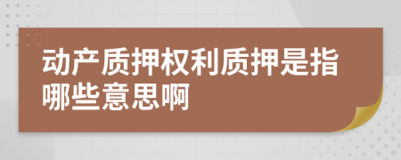 动产质押权利质押是指哪些意思啊