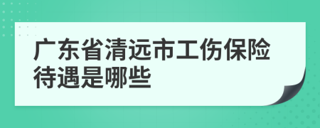 广东省清远市工伤保险待遇是哪些