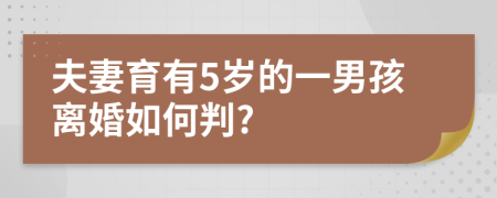 夫妻育有5岁的一男孩离婚如何判?