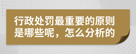 行政处罚最重要的原则是哪些呢，怎么分析的