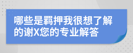 哪些是羁押我很想了解的谢X您的专业解答