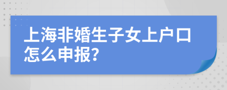 上海非婚生子女上户口怎么申报？