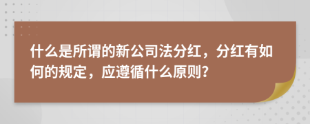 什么是所谓的新公司法分红，分红有如何的规定，应遵循什么原则？