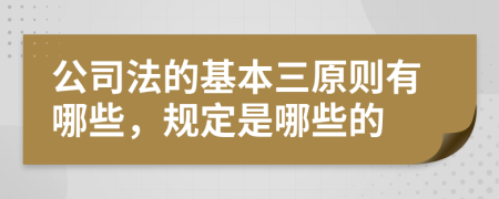 公司法的基本三原则有哪些，规定是哪些的