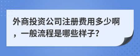 外商投资公司注册费用多少啊，一般流程是哪些样子？