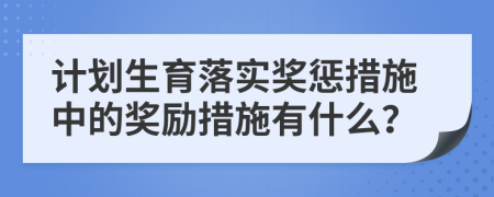 计划生育落实奖惩措施中的奖励措施有什么？