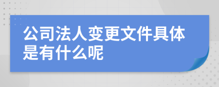 公司法人变更文件具体是有什么呢