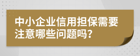 中小企业信用担保需要注意哪些问题吗？